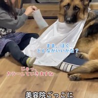 まさかのカラーをすることに