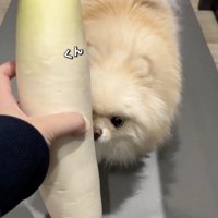 現在も、初めてのものに興味津々