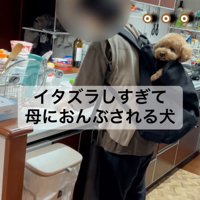 笑顔のバッキーくん