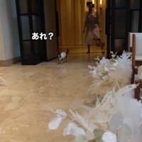 うにちゃんの出番