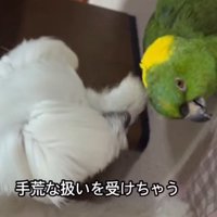 仲睦まじい2人♡