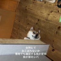 おこぼれが欲しくて…