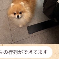 「ご飯待ちの行列が出来ている」