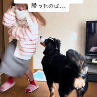 逃げるお姉ちゃん