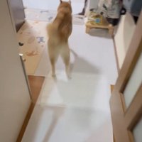 家の中をダッシュ！！