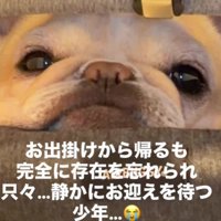 「でもそろそろ出してね…？」