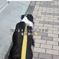 ズンズン歩き始めます