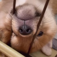 やっぱりここが落ち着くね