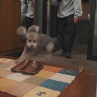 大はしゃぎ♪