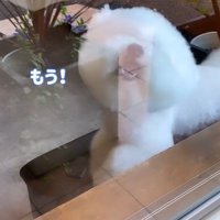 ショーンくんのお迎え7