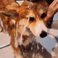 いい子で耐えています