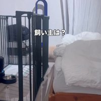 「飼い主は…？」