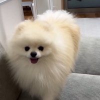 甘えに戻ってきました