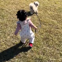 もち君と赤ちゃんのお散歩4