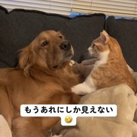 じーっと見つめて…