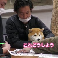 積極的に意見を出します