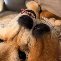 ブチギレ顔にクスッ