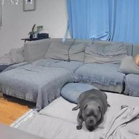 ここで一緒に寝よう