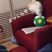 あまり興味がないよう