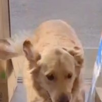 名残惜しいよね