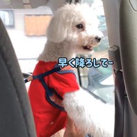 実家に到着