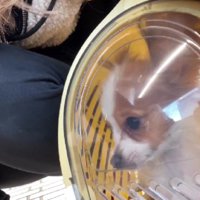 4時間の旅から始まった