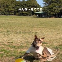 前足に力を込めて…