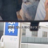 切ない表情のハナちゃん