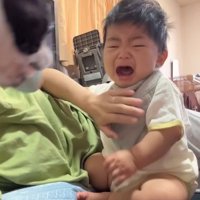 赤ちゃんが泣いた時のごろちゃん