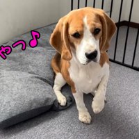 出勤前のママさんとメイちゃん4