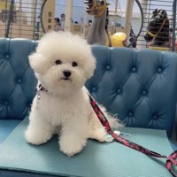 メリーゴーランドにもドキドキ