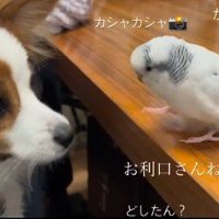 相思相愛なふたりでした