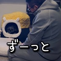 ベッドの中から男性を見つめる犬