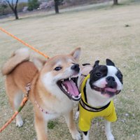 お友だち