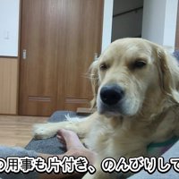 穏やかな休日も♪