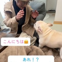 顔を見合わせる犬と人