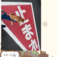 標識