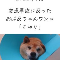 交通事故に遭ったさゆりちゃん