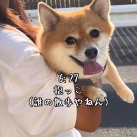 飼い主に抱っこされている犬