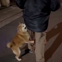 お父さんに訴えるロンくん