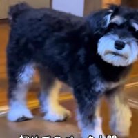 ゆっくりとフェードアウト