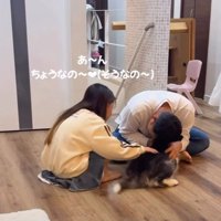 「ちょうなの〜」