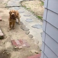 切なそうな顔でジッ…