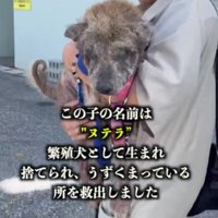 本格的な治療を開始