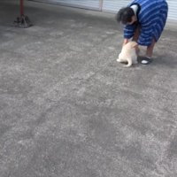 庭でじゃれあう2人