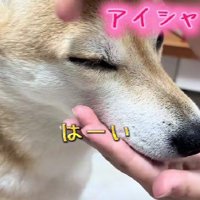 アイシャドウまで！