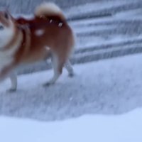 抜け道を発見！！