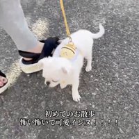がんばれるかな？