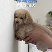 3回目も同様でした