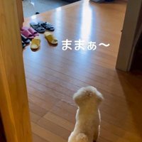 「ママ～！！」